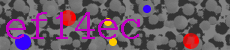 código captcha